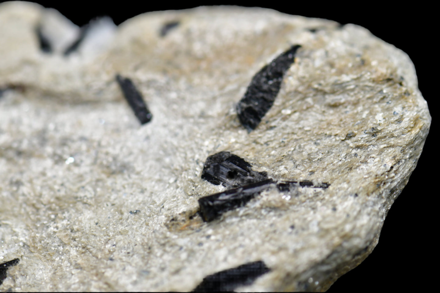 SCHORL on MUSCOVITE