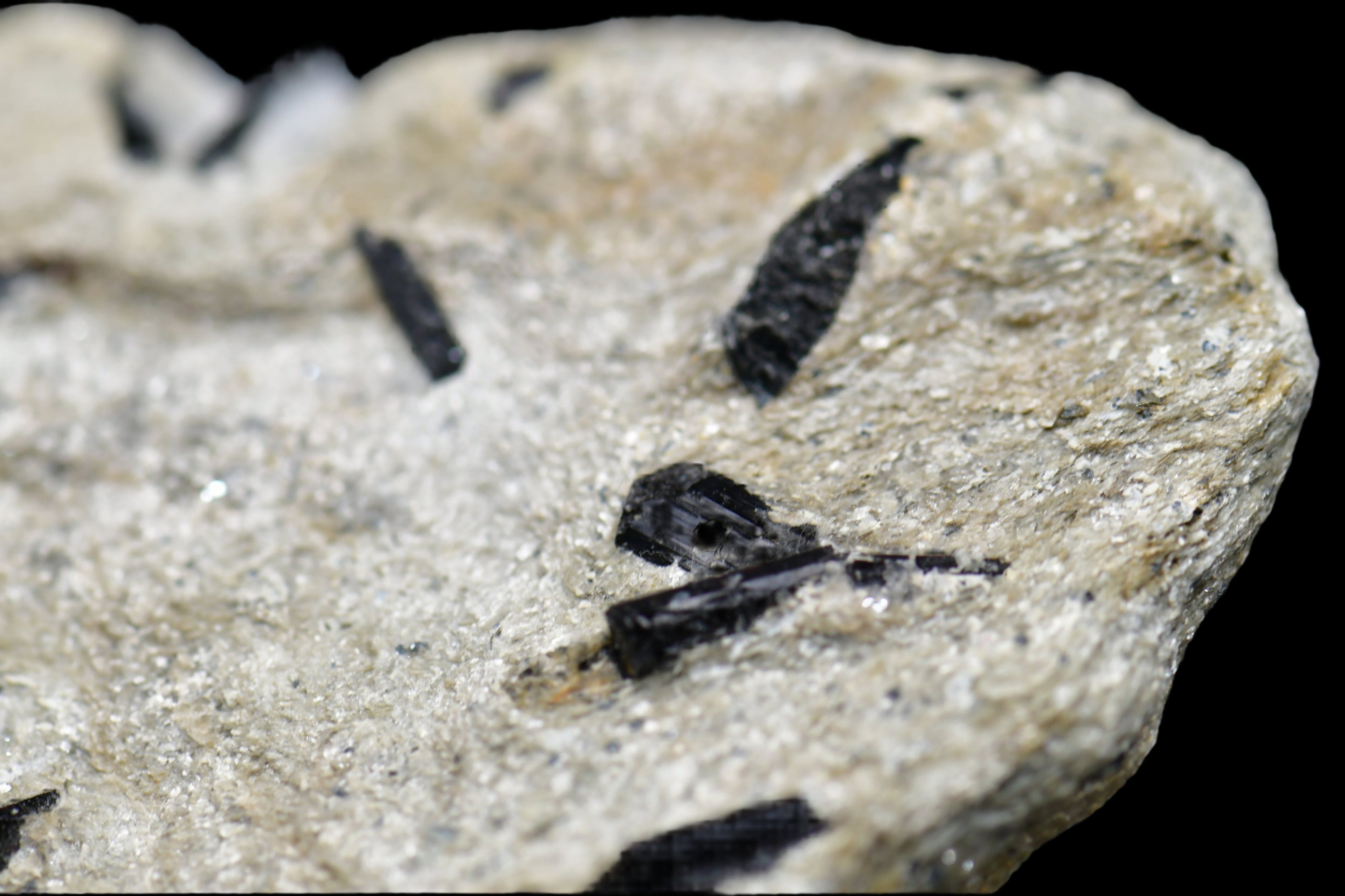SCHORL on MUSCOVITE (small cabinet)