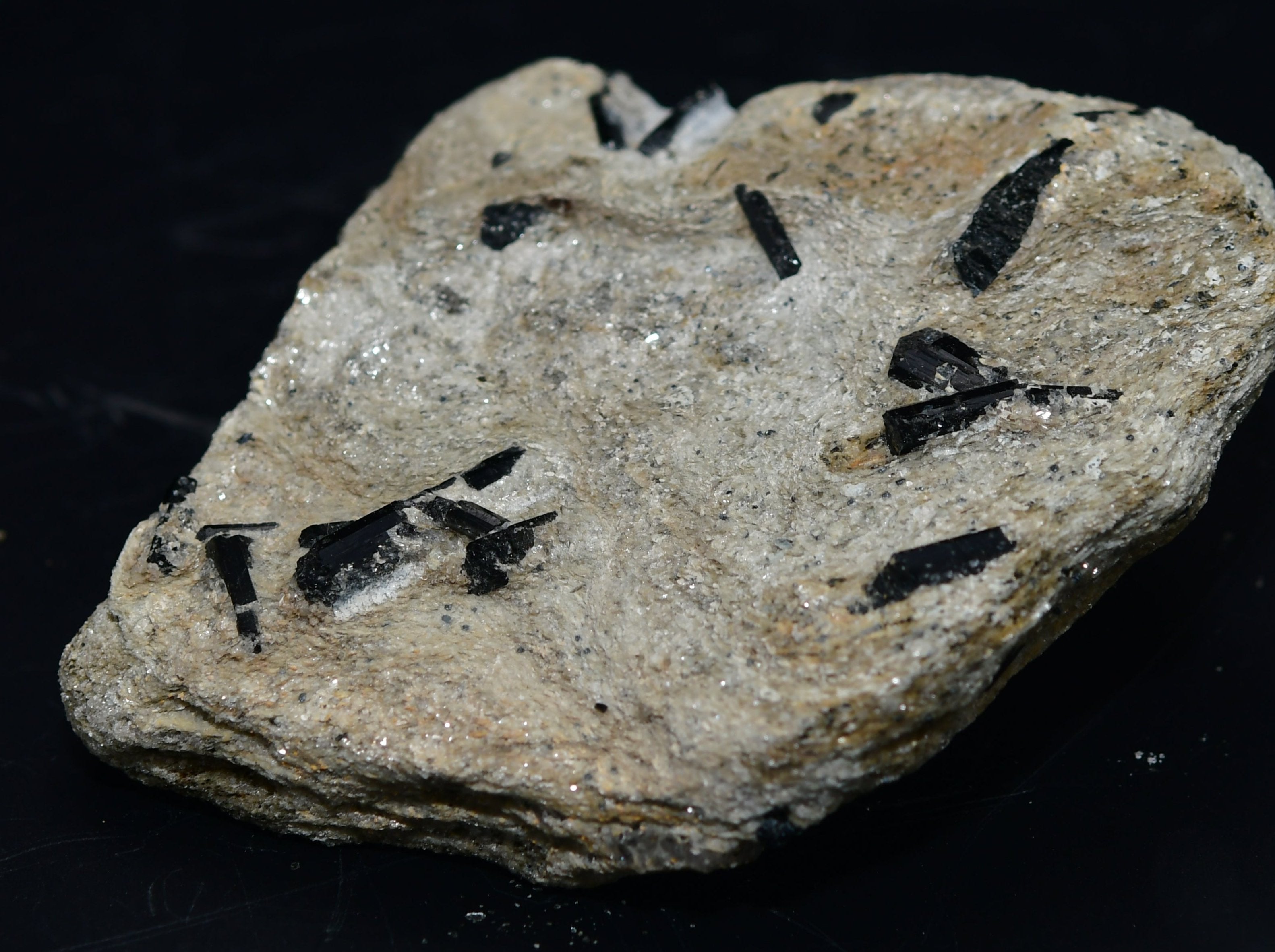 SCHORL on MUSCOVITE (small cabinet)