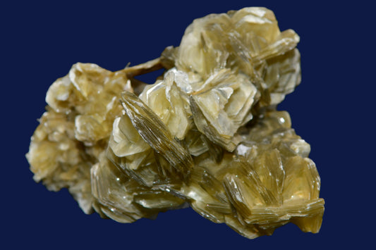 MUSCOVITE