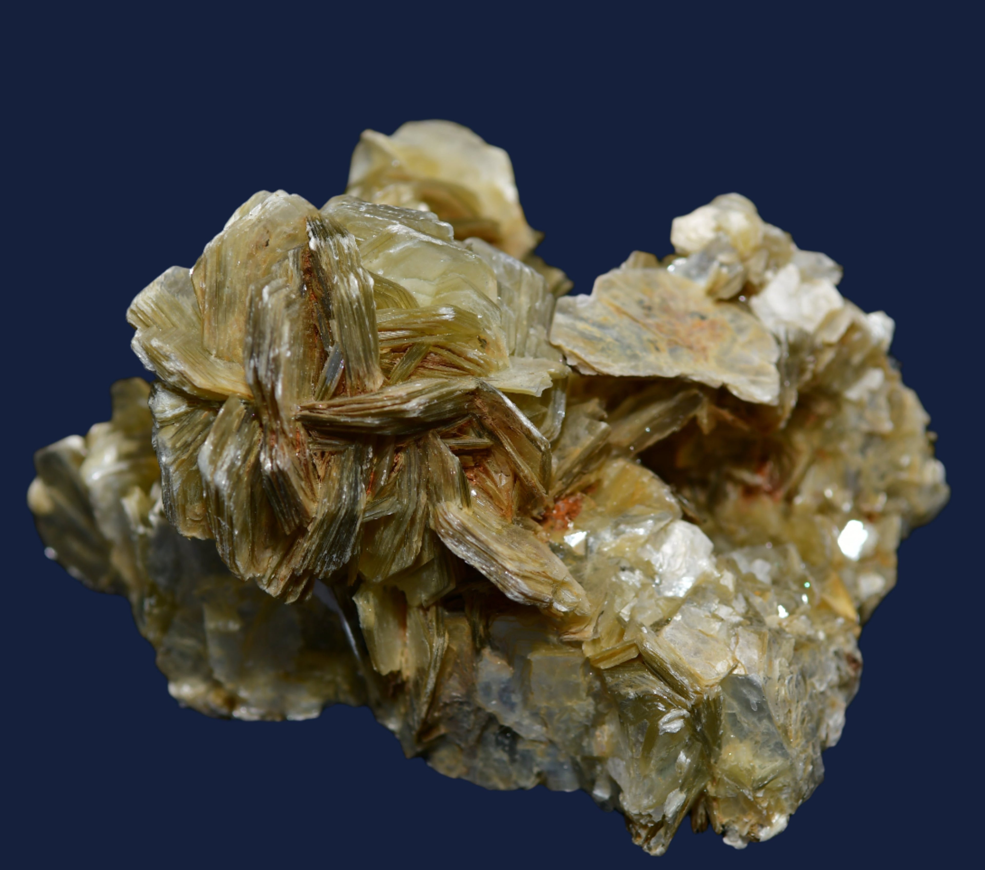 MUSCOVITE (large cabinet)