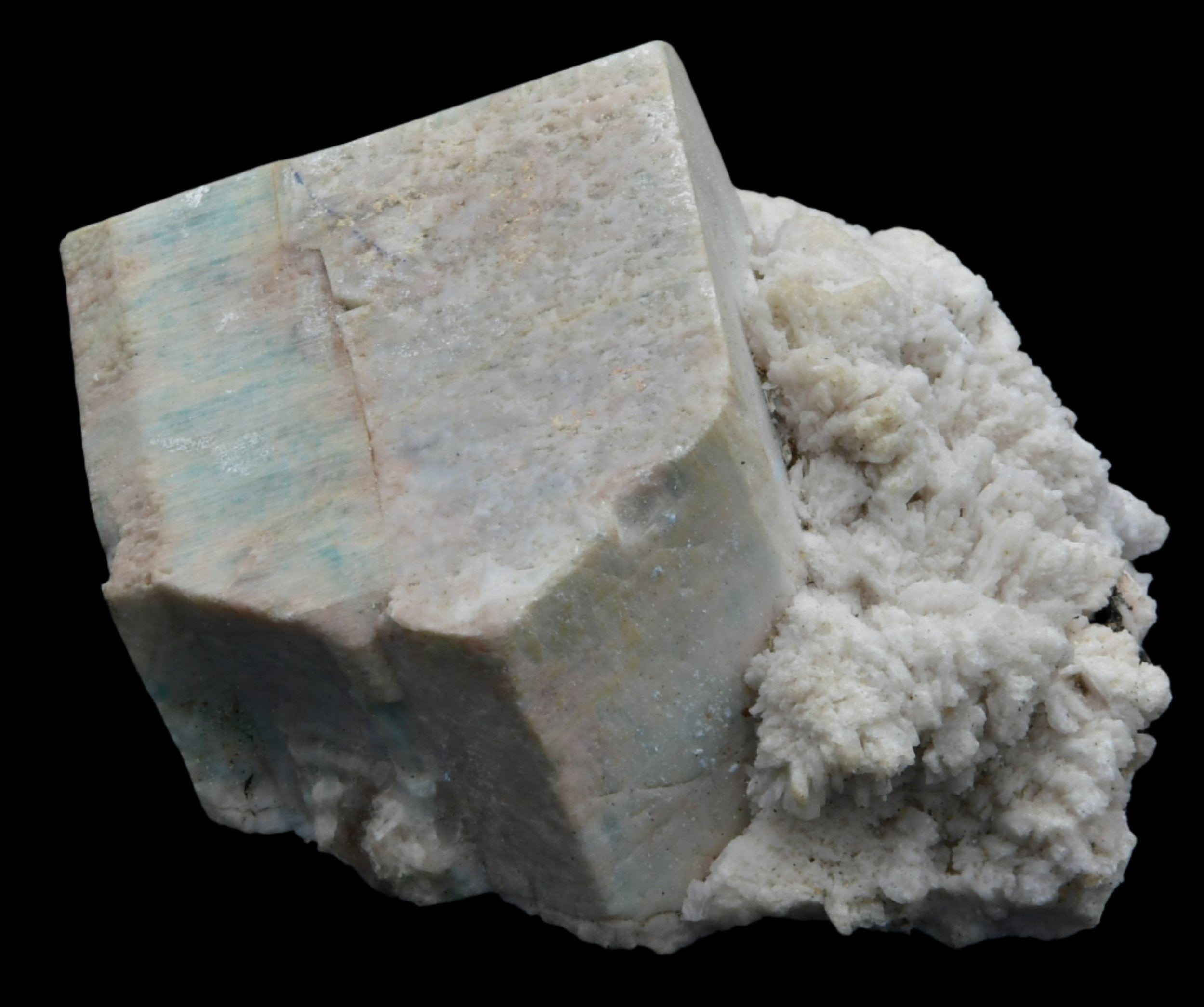 AMAZONITE ON ALBITE (small cabinet)