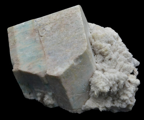 AMAZONITE SUR ALBITE, COMTÉ DE PARK, COLORADO, ÉTATS-UNIS (petite armoire)