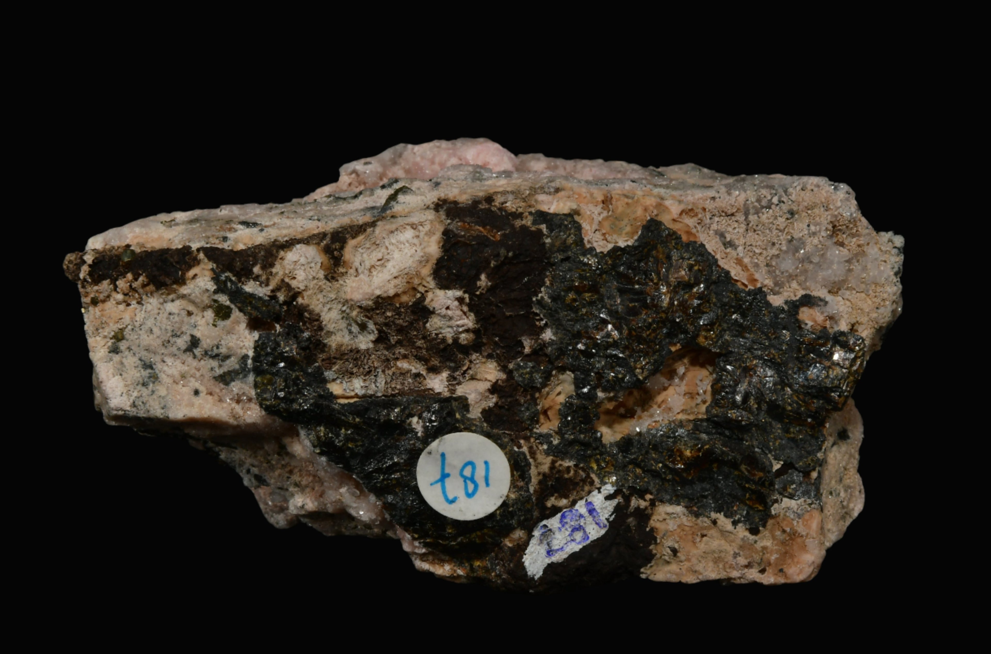 RHODOCHROSITE associated with PYRITE, QUARTZ (small cabinet)