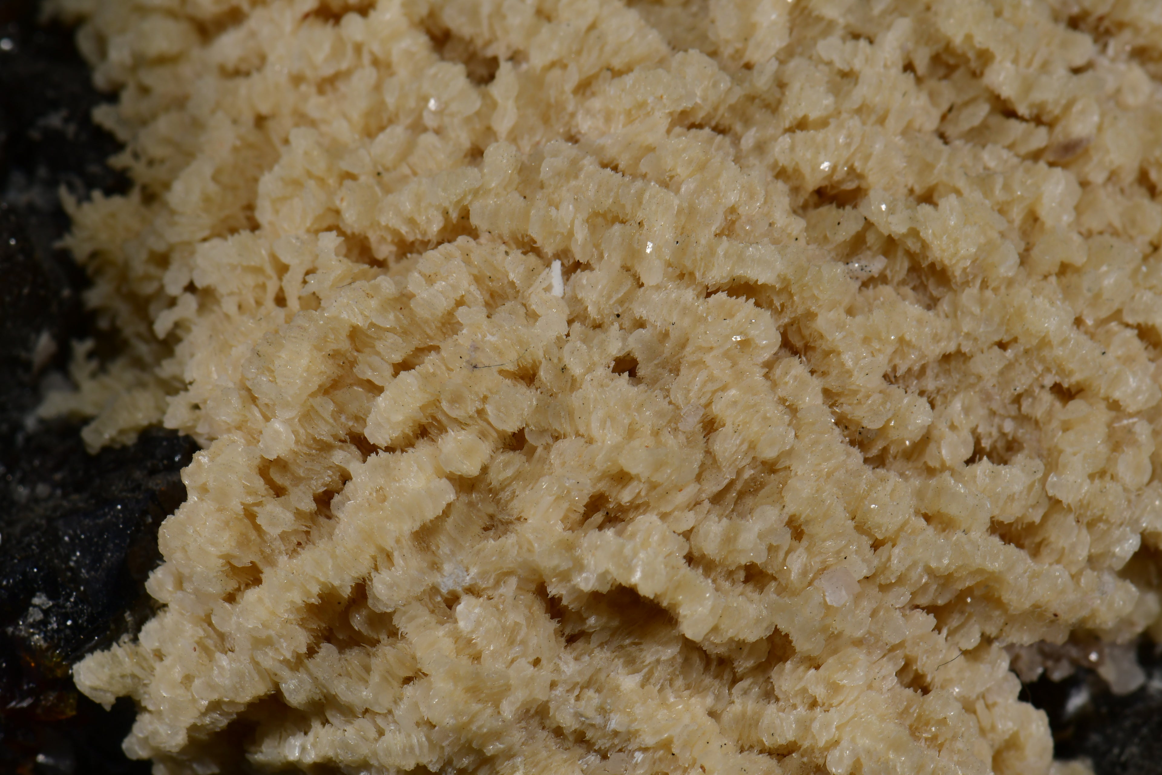 SPHALERITE and BARYTE COMBO (choc-vanilla) (small cabinet)