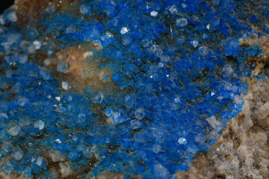 Vivid blue crystals on matrix, showcasing natural mineral specimen with sparkling facets and earthy tones
