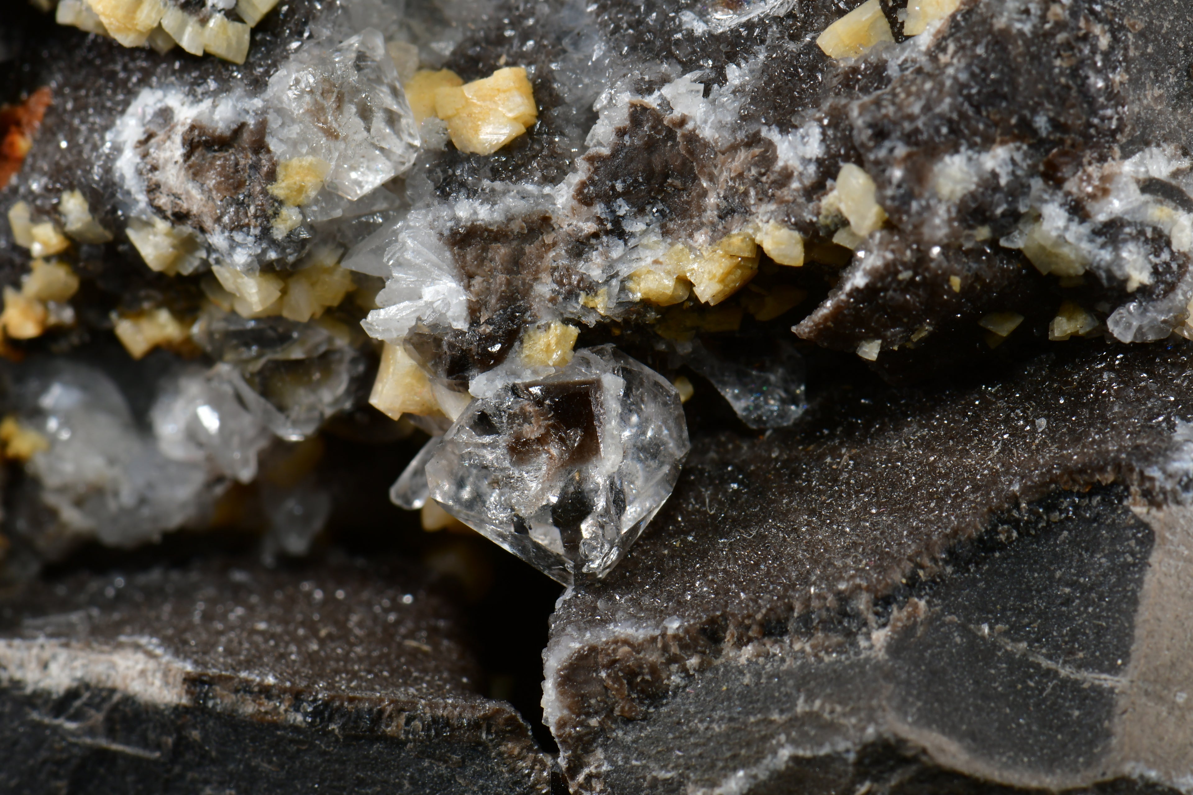 HAUSMANNITE (small cabinet)