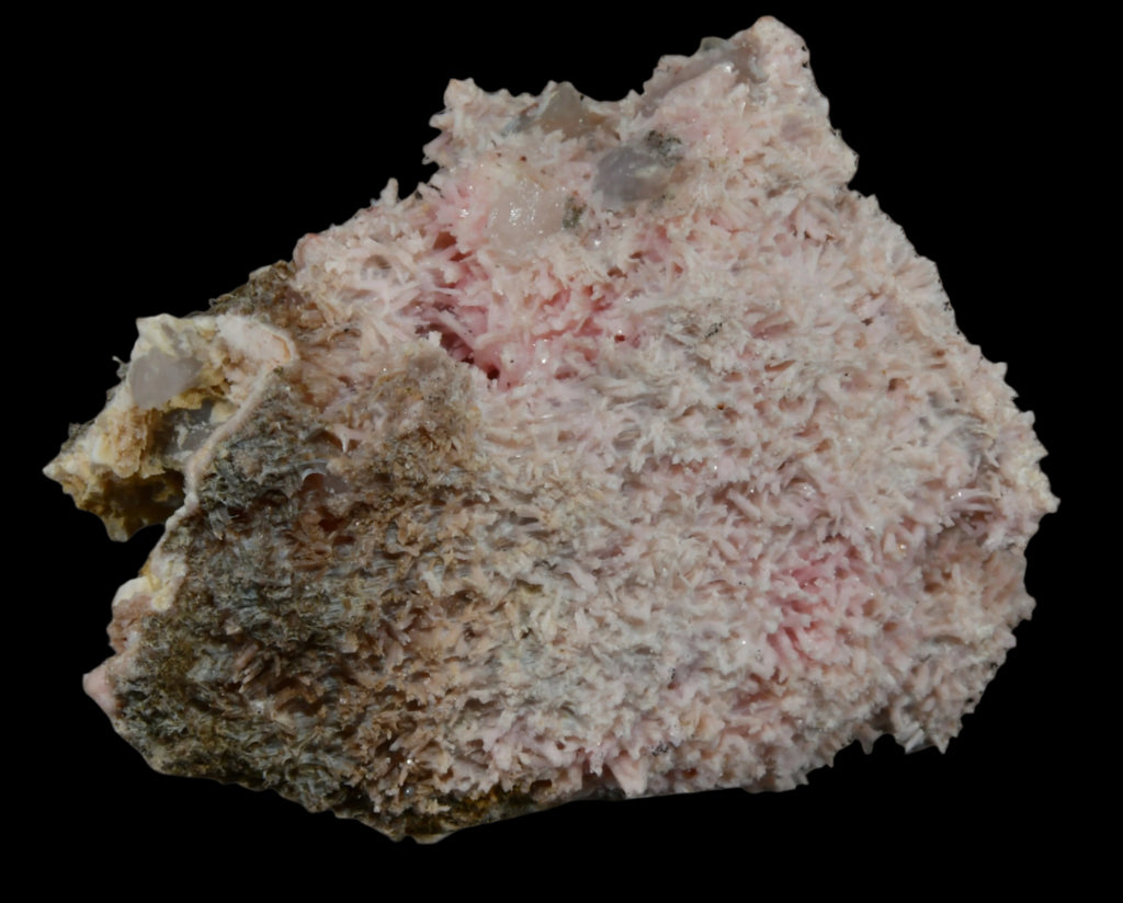 SHIGAITE AND RHODOCHROSITE COMBO (small cabinet)
