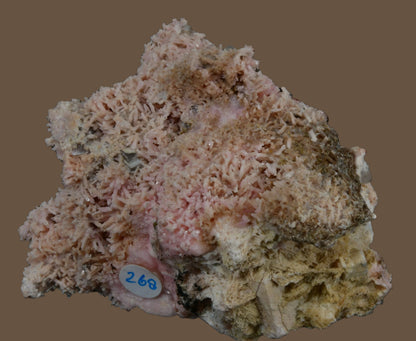 SHIGAITE AND RHODOCHROSITE COMBO