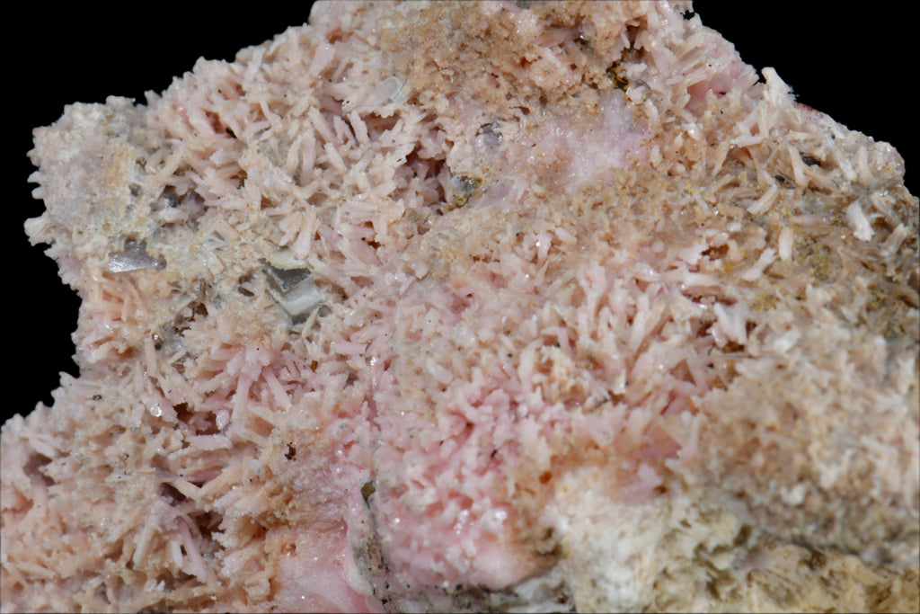 SHIGAITE AND RHODOCHROSITE COMBO (small cabinet)