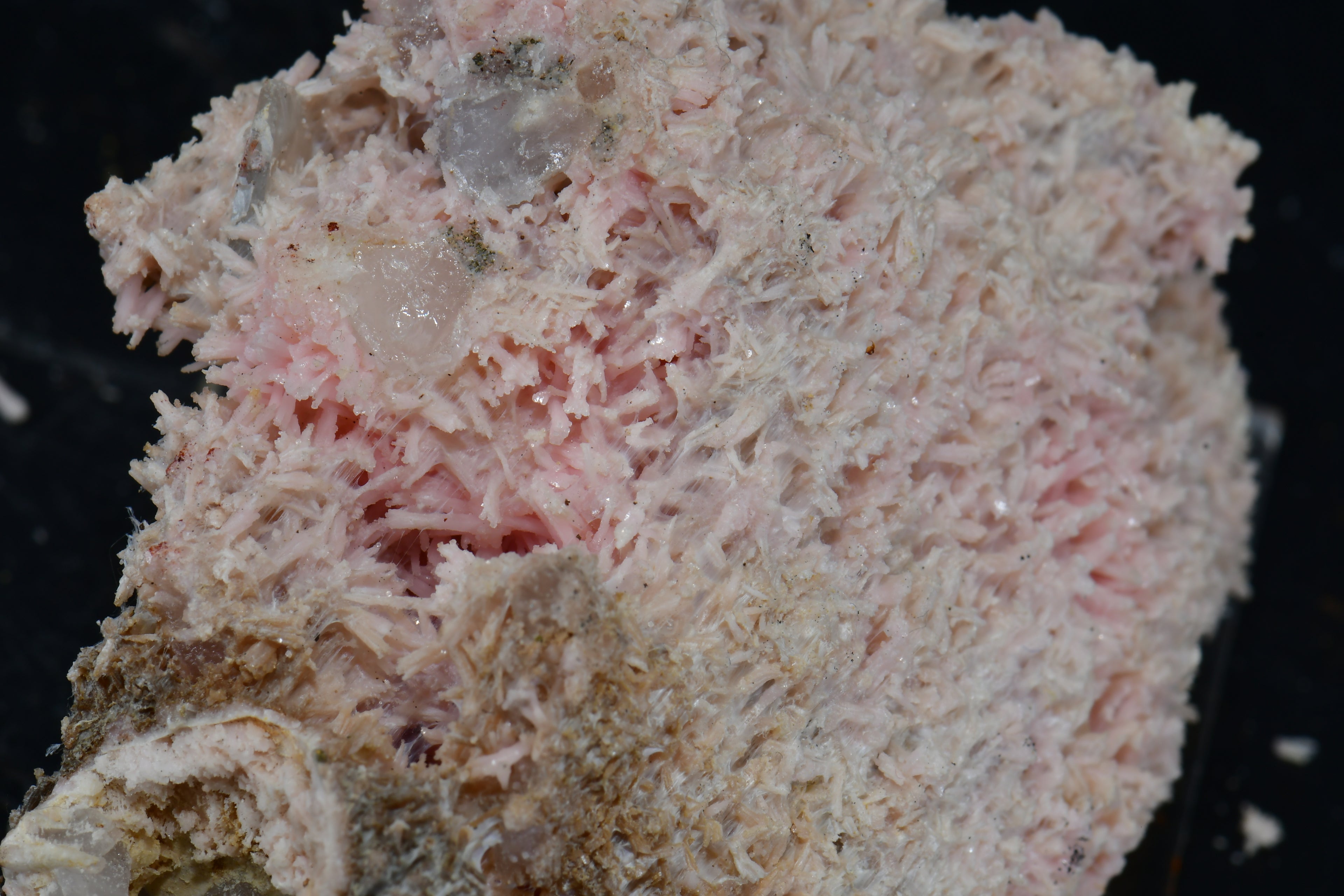 SHIGAITE AND RHODOCHROSITE COMBO (small cabinet)