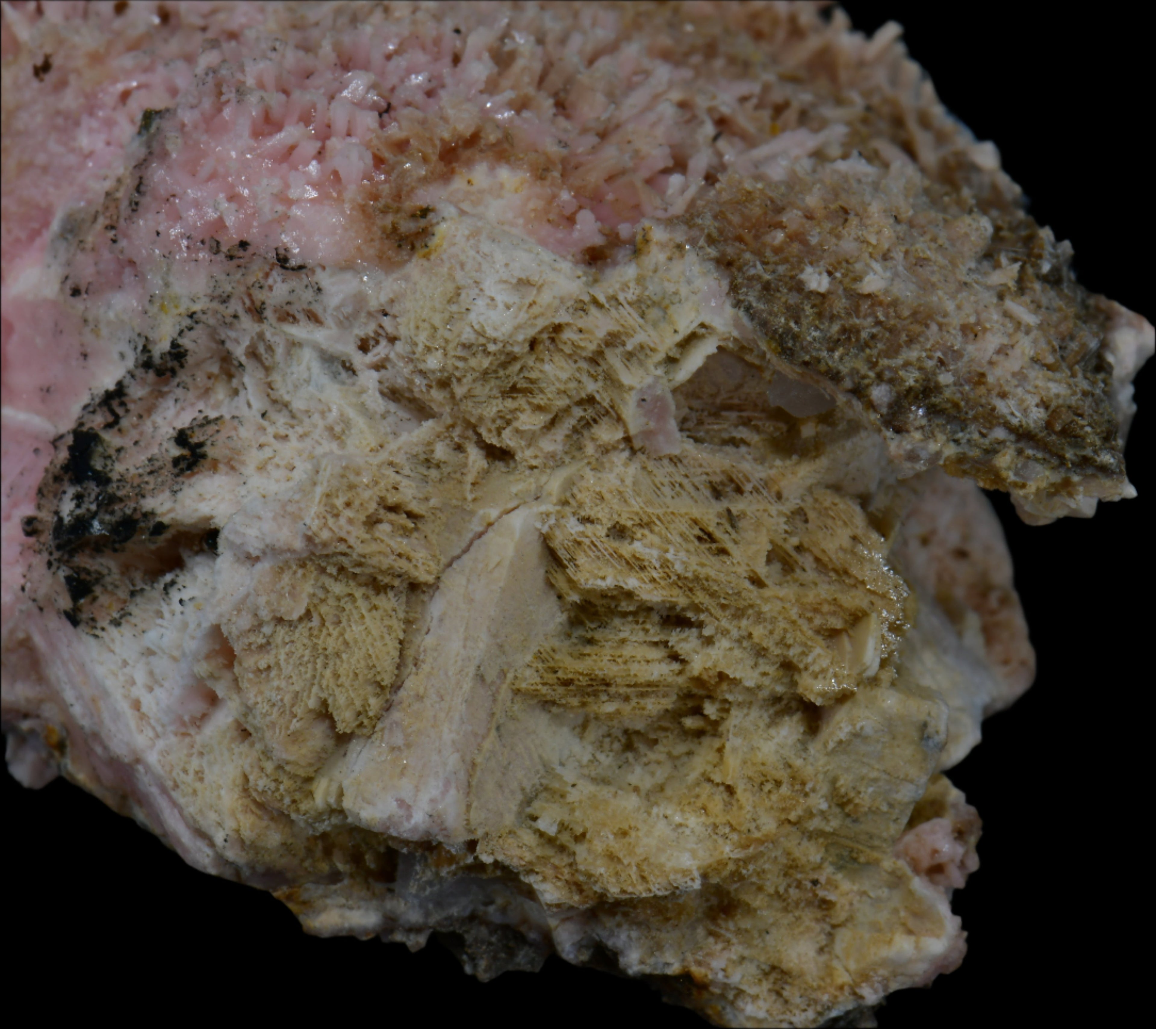 SHIGAITE AND RHODOCHROSITE COMBO (small cabinet)