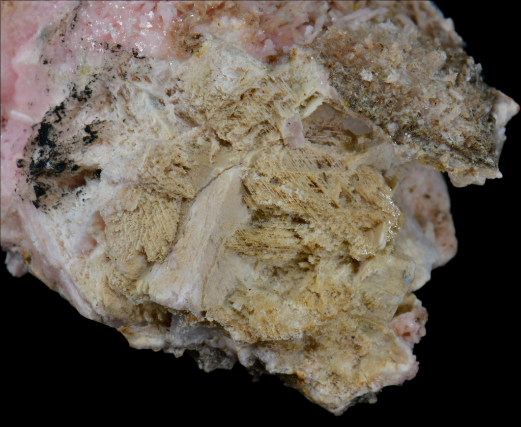 SHIGAITE AND RHODOCHROSITE COMBO (small cabinet)