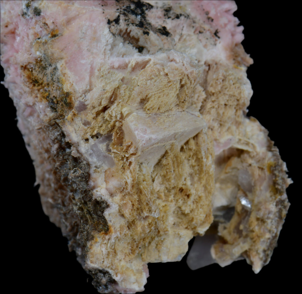 SHIGAITE AND RHODOCHROSITE COMBO (small cabinet)