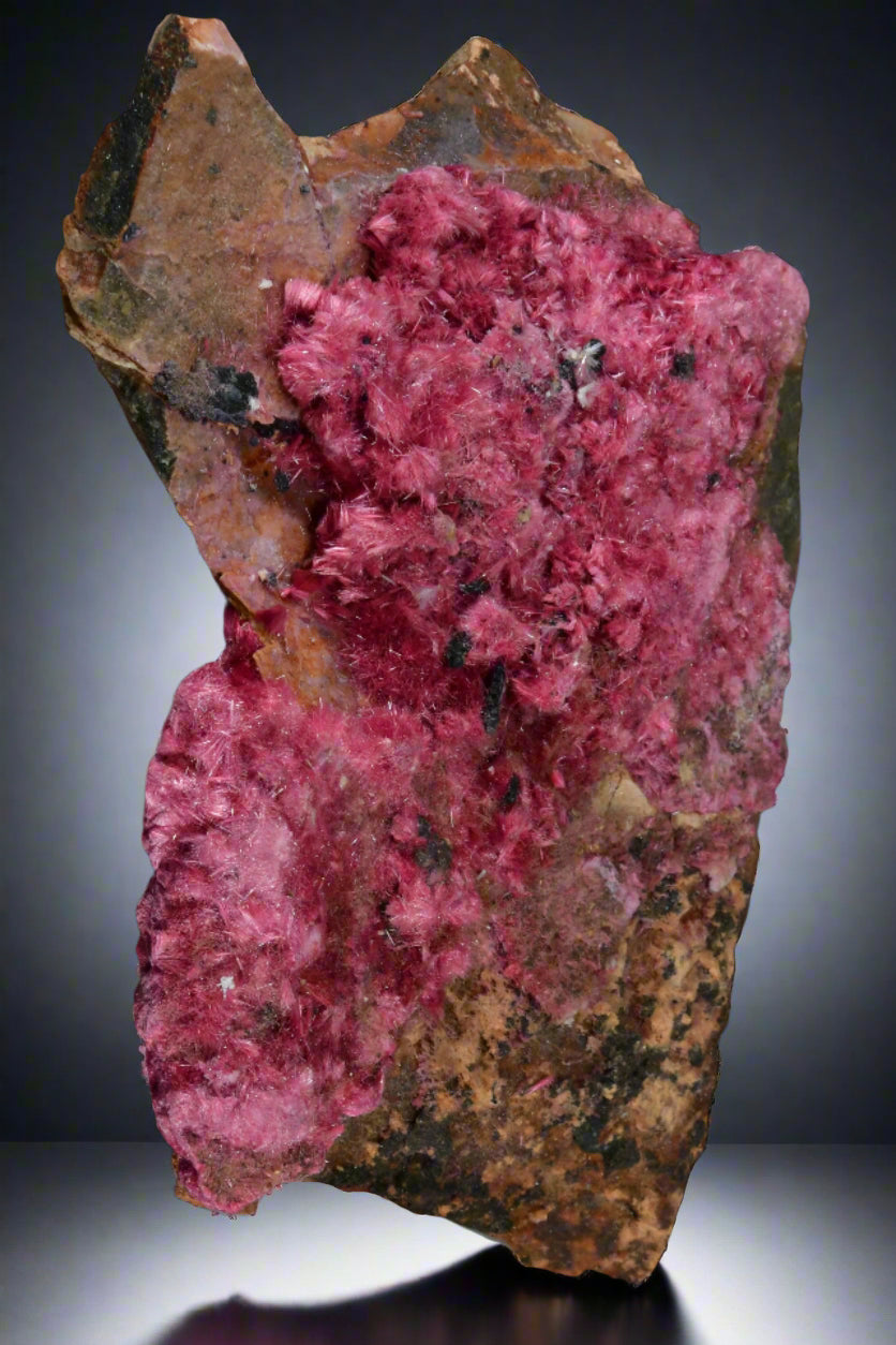ERYTHRITE (cabinet)