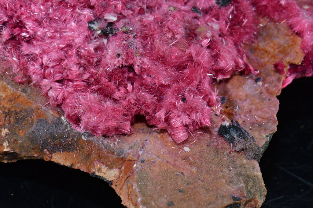 ERYTHRITE (cabinet)