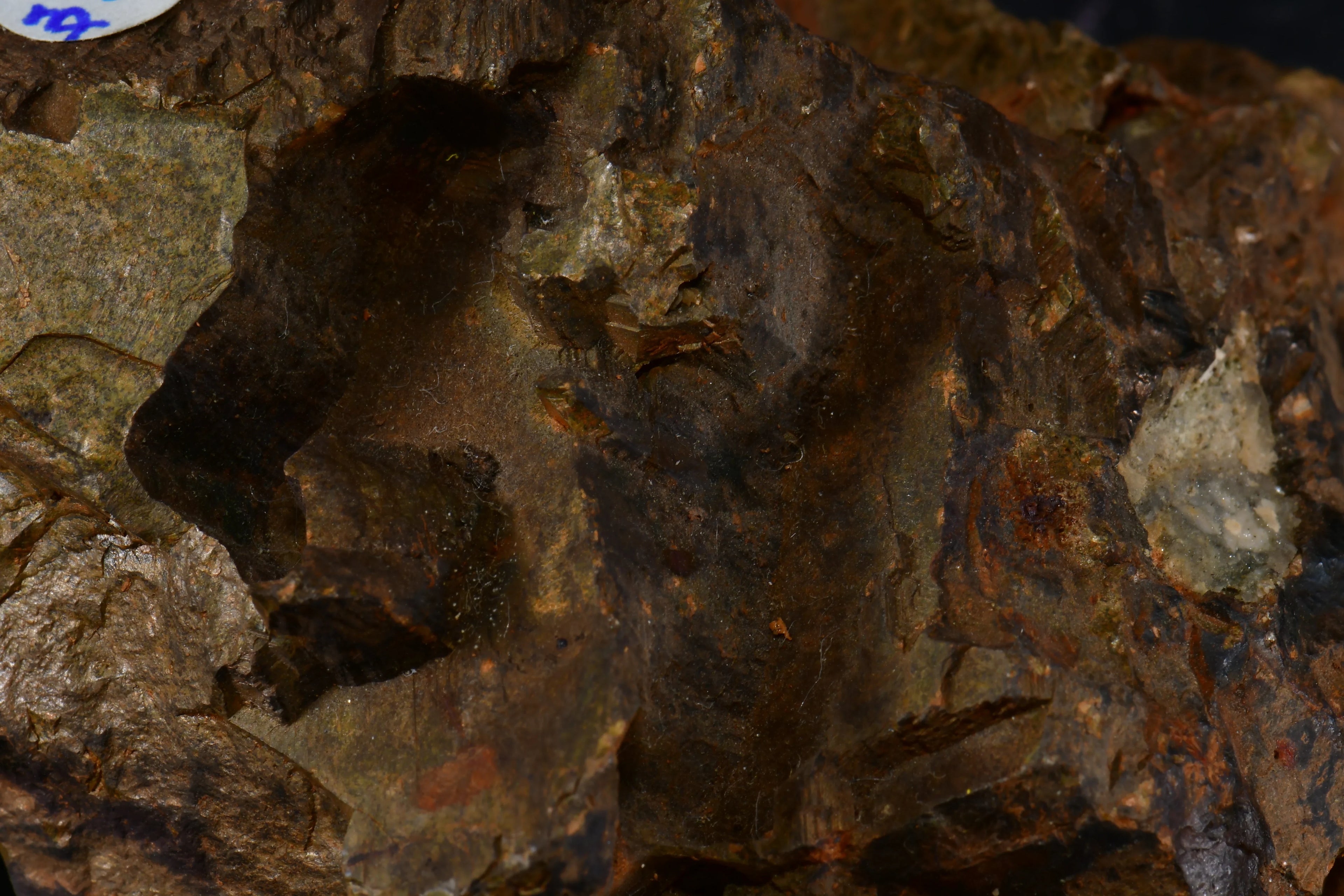 Dark mineral specimen with earthy textures and subtle green hues
