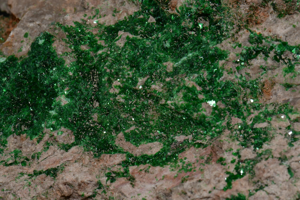 Vibrant green mineral crystals on matrix, showcasing natural geological formation and sparkle.