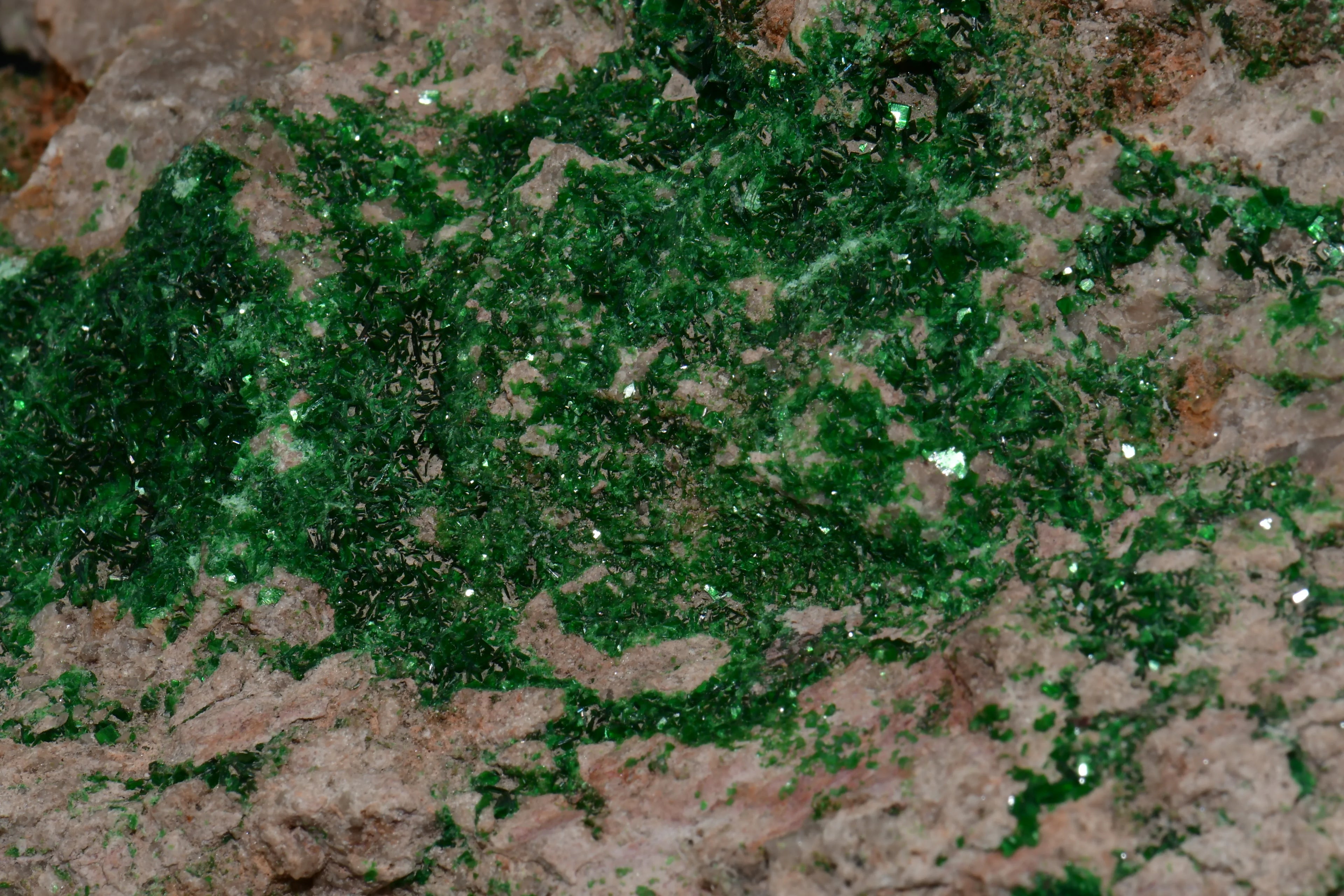 Vibrant green mineral crystals on matrix, showcasing natural geological formation and sparkle.