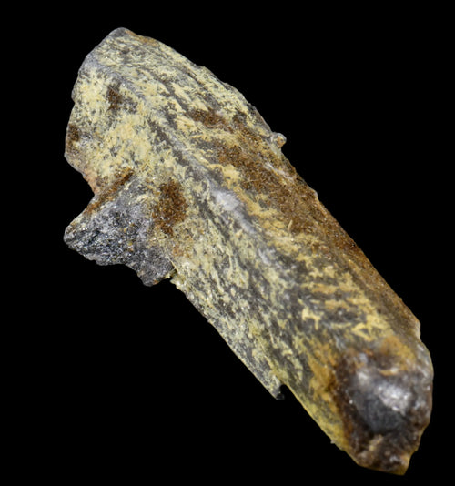 Chalcopyrite on Quartz specimen from classic locality, mineral collector's piece with golden-yellow and gray tones