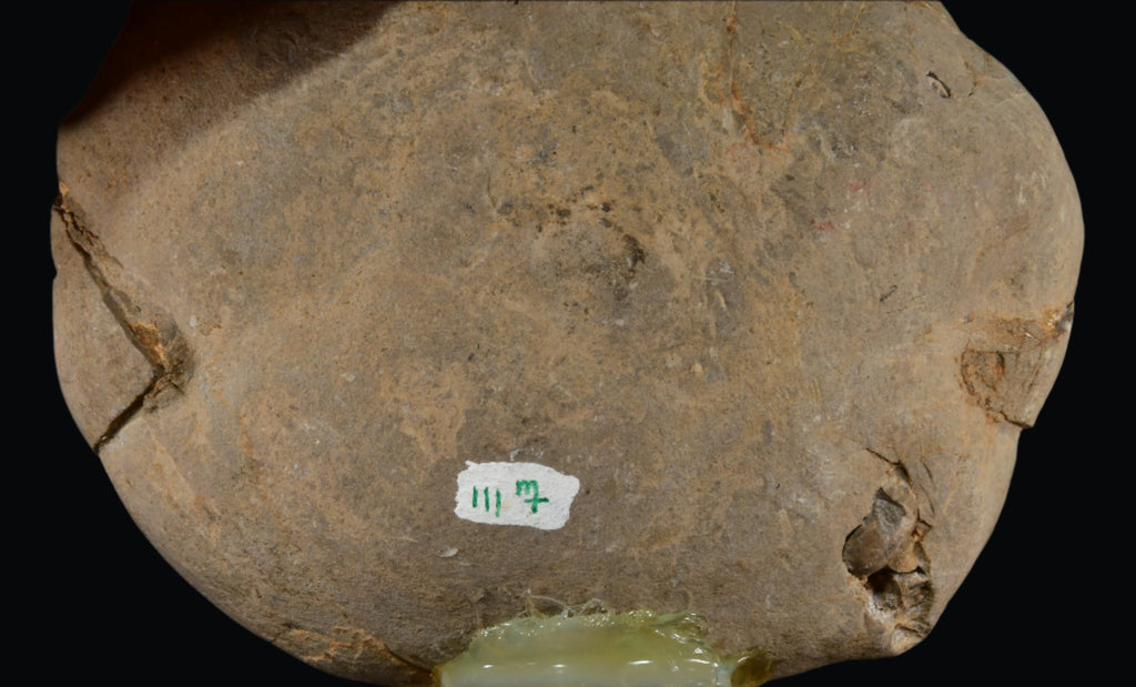 SEPTARIE (large cabinet)