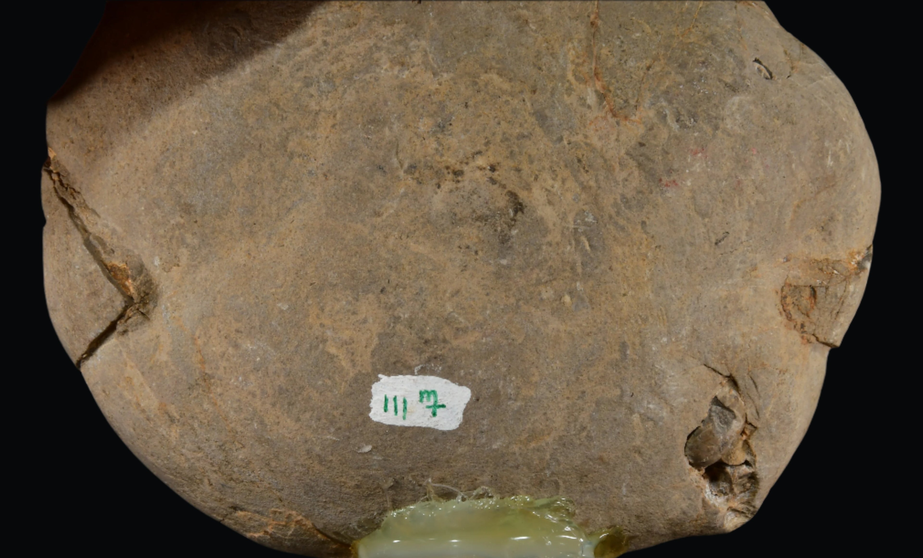 SEPTARIE (large cabinet)