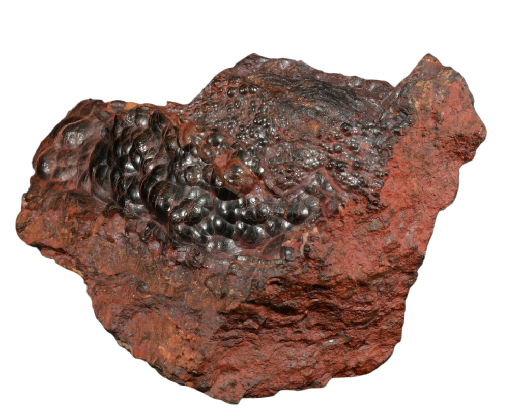 HEMATITE Botryoidal (cabinet)