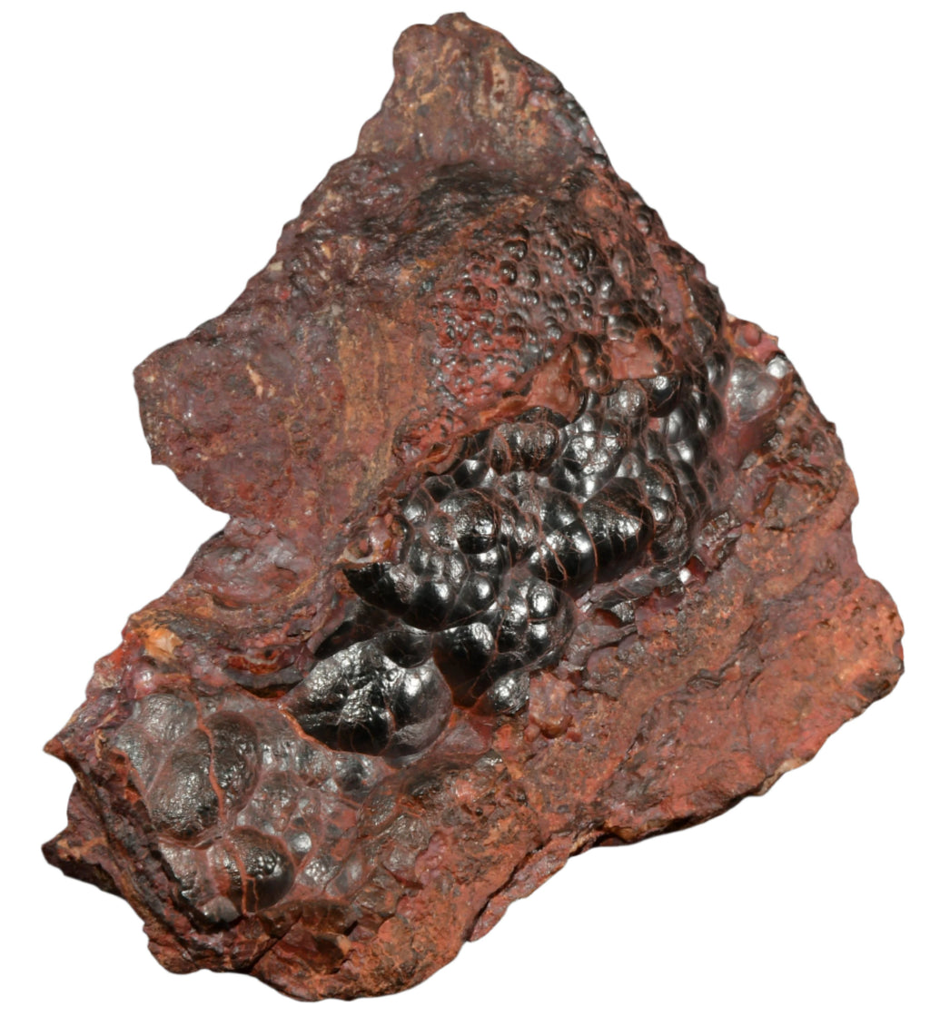 HEMATITE Botryoidal (cabinet)