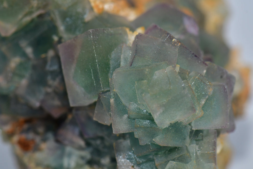FLUORITE (BI-COLOR, perfect crystals) QUARTZ & CALCITE (cabinet)
