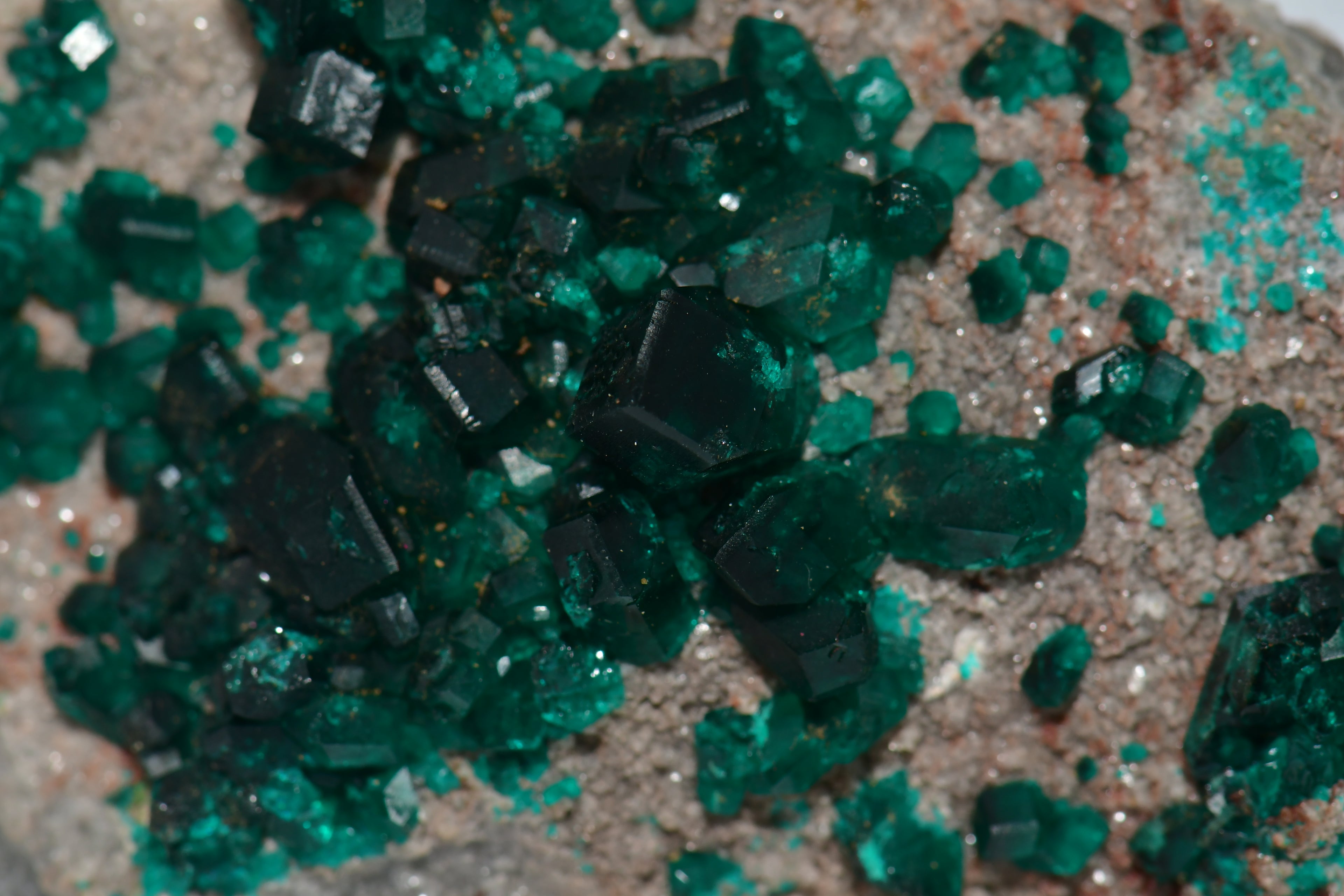 DIOPTASE (small cabinet)