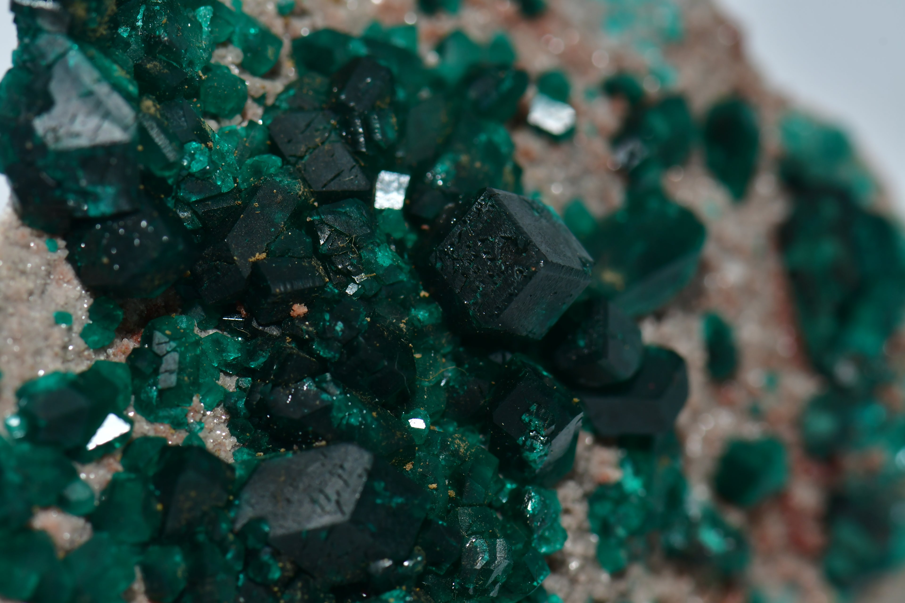 DIOPTASE (small cabinet)