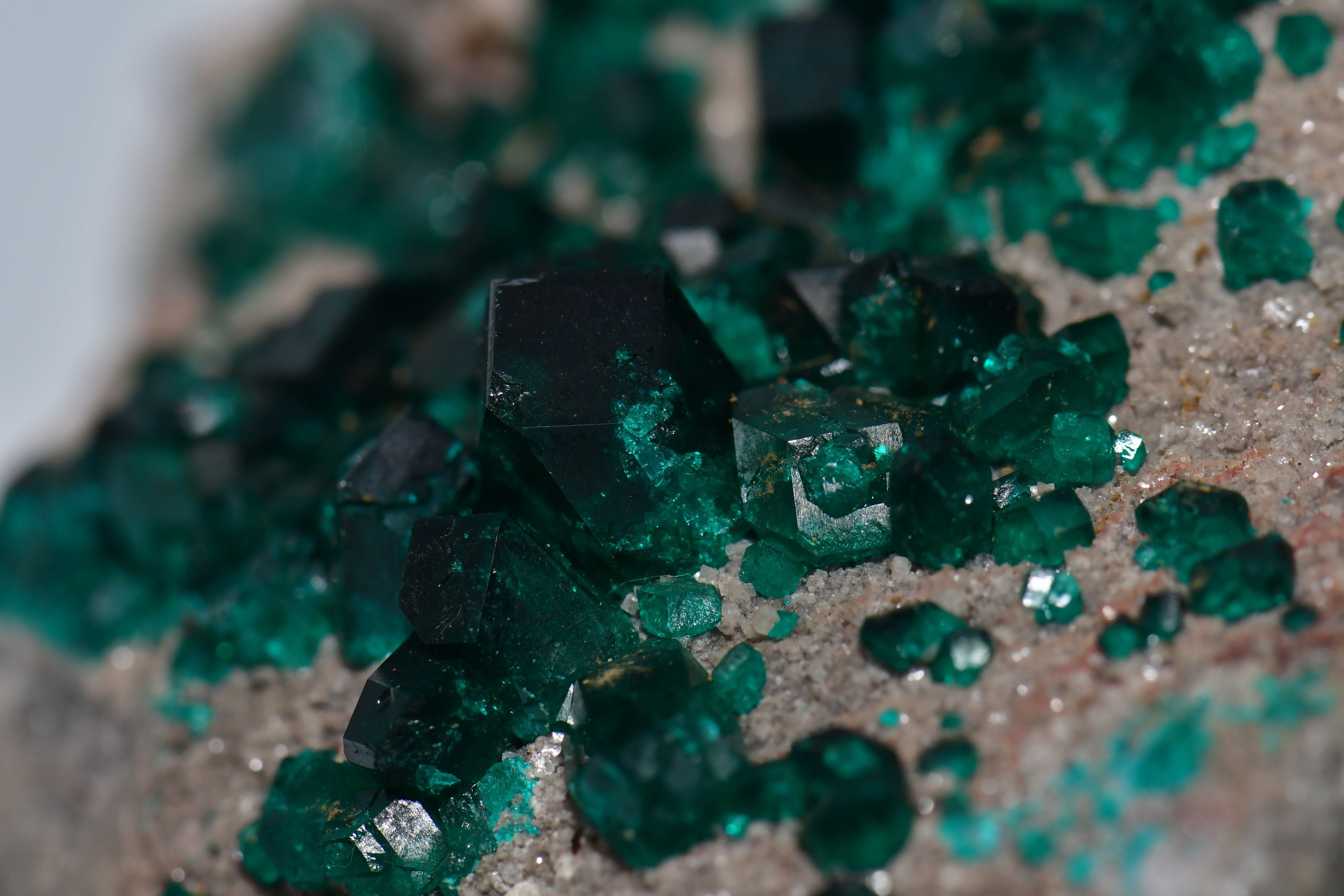 DIOPTASE (small cabinet)
