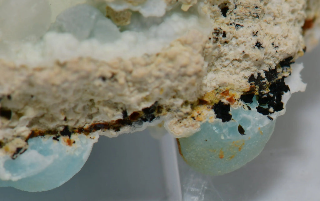 Celestine crystal specimen with blue globular formations on matrix, mineral collector display