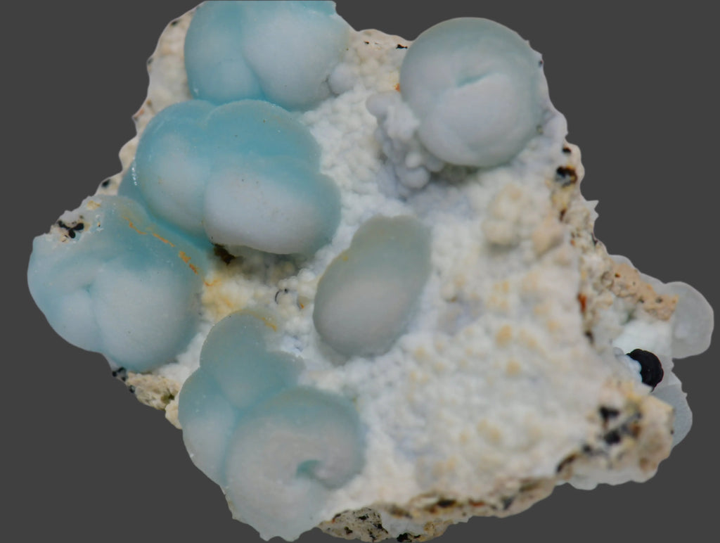 Blue botryoidal mineral specimen on white matrix, showcasing rounded formations and earthy textures