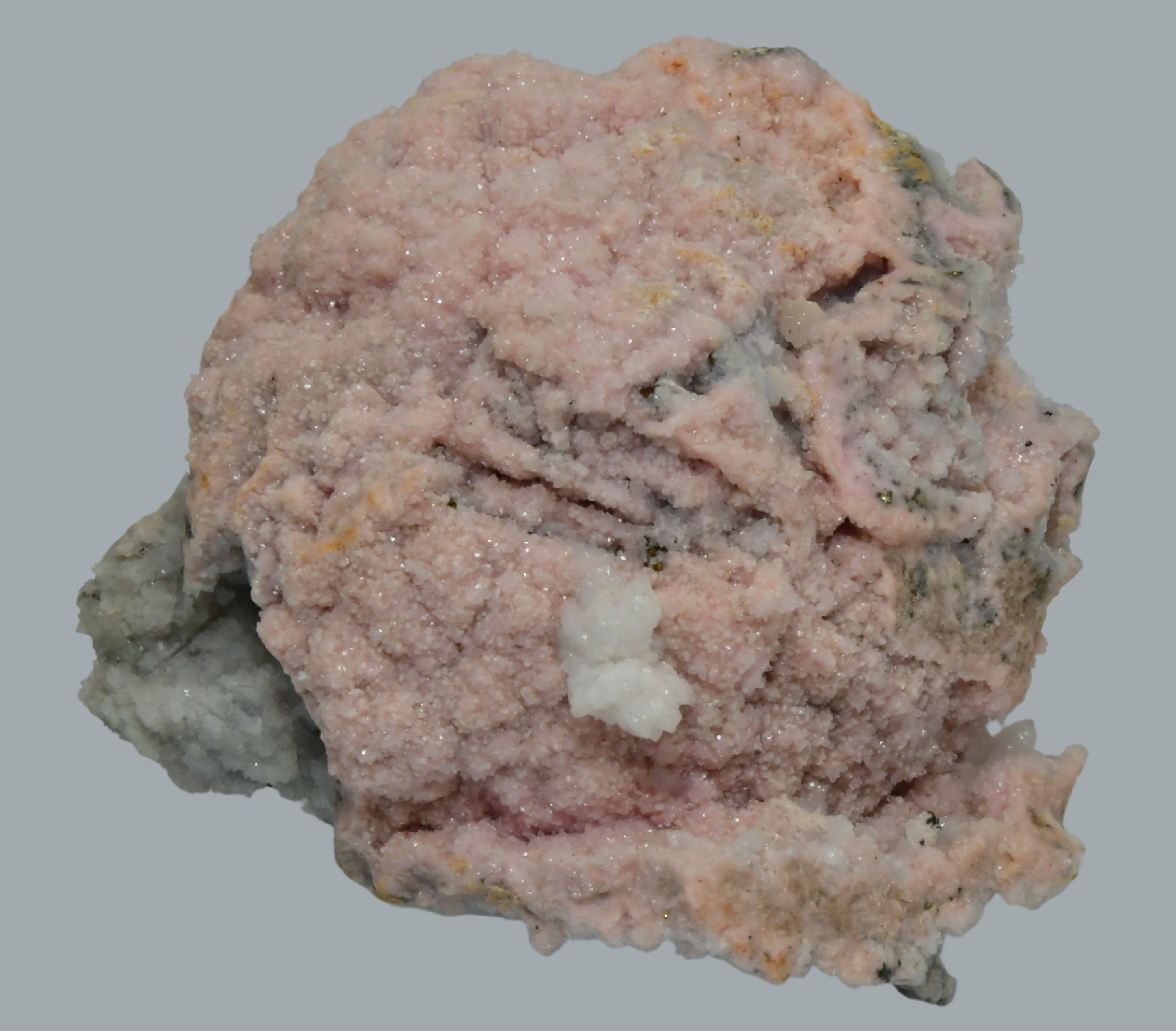 RHODOCHROSITE associated with PYRITE (small cabinet)