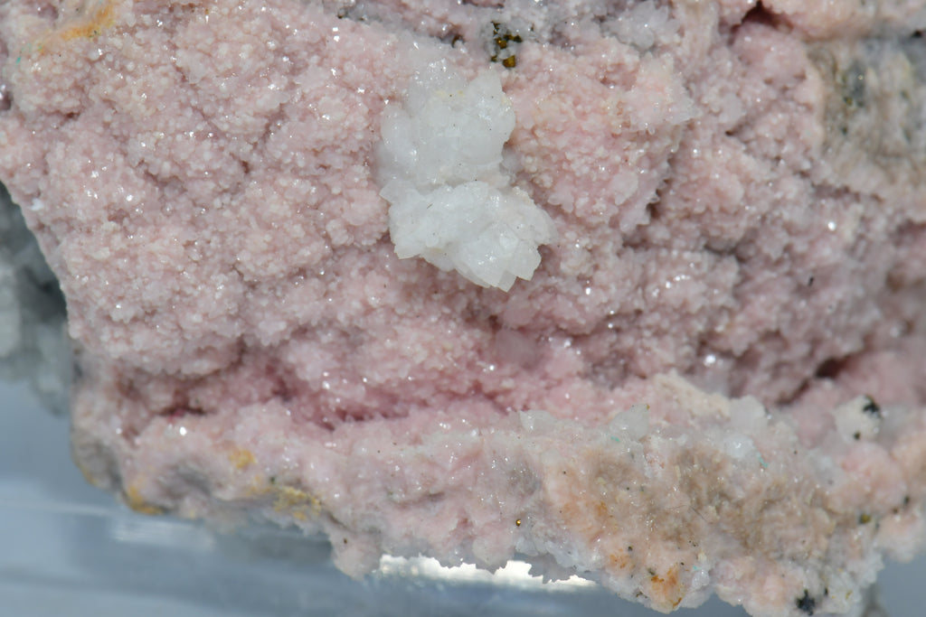 RHODOCHROSITE associated with PYRITE (small cabinet)