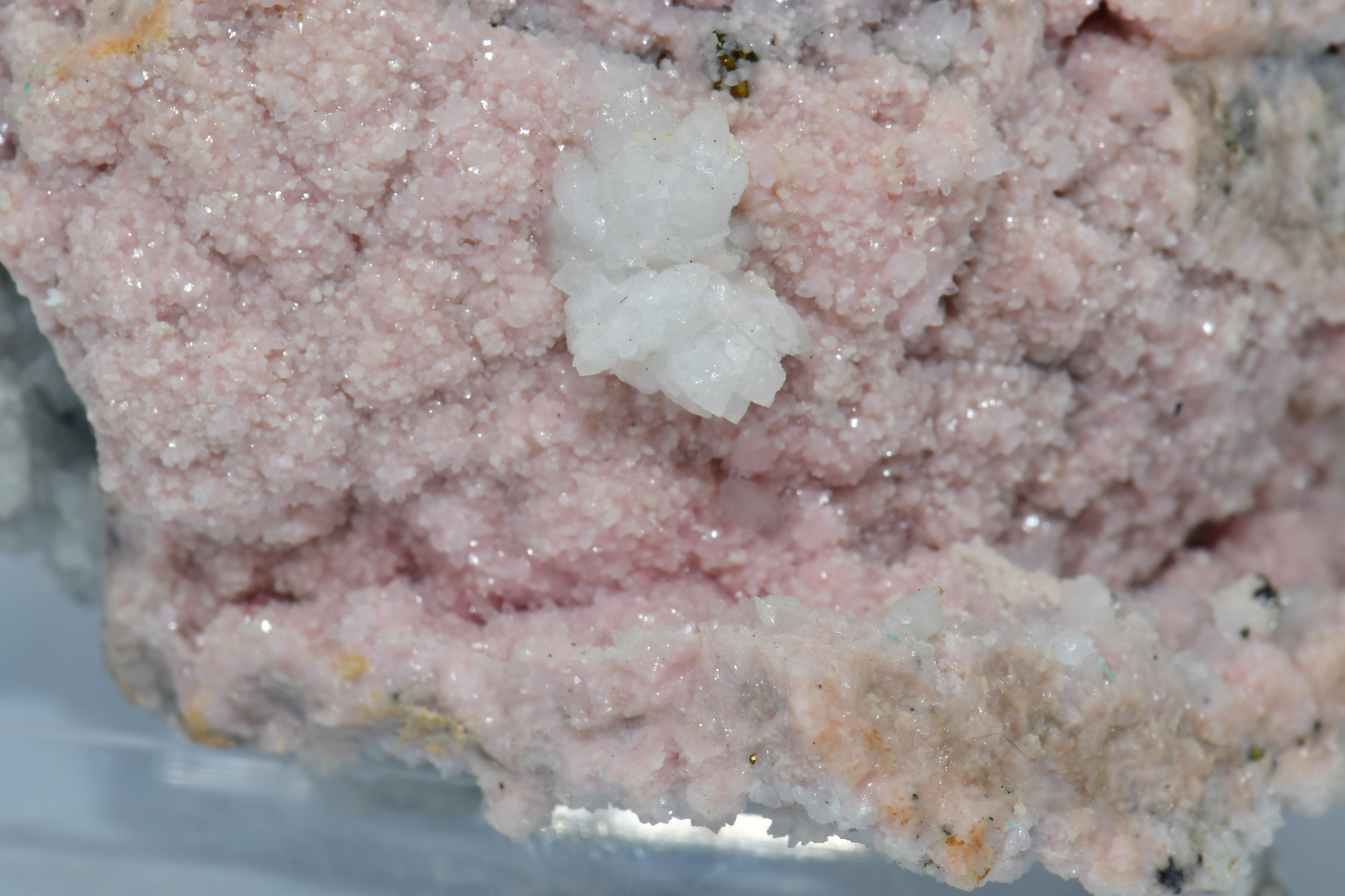 RHODOCHROSITE associated with PYRITE (small cabinet)