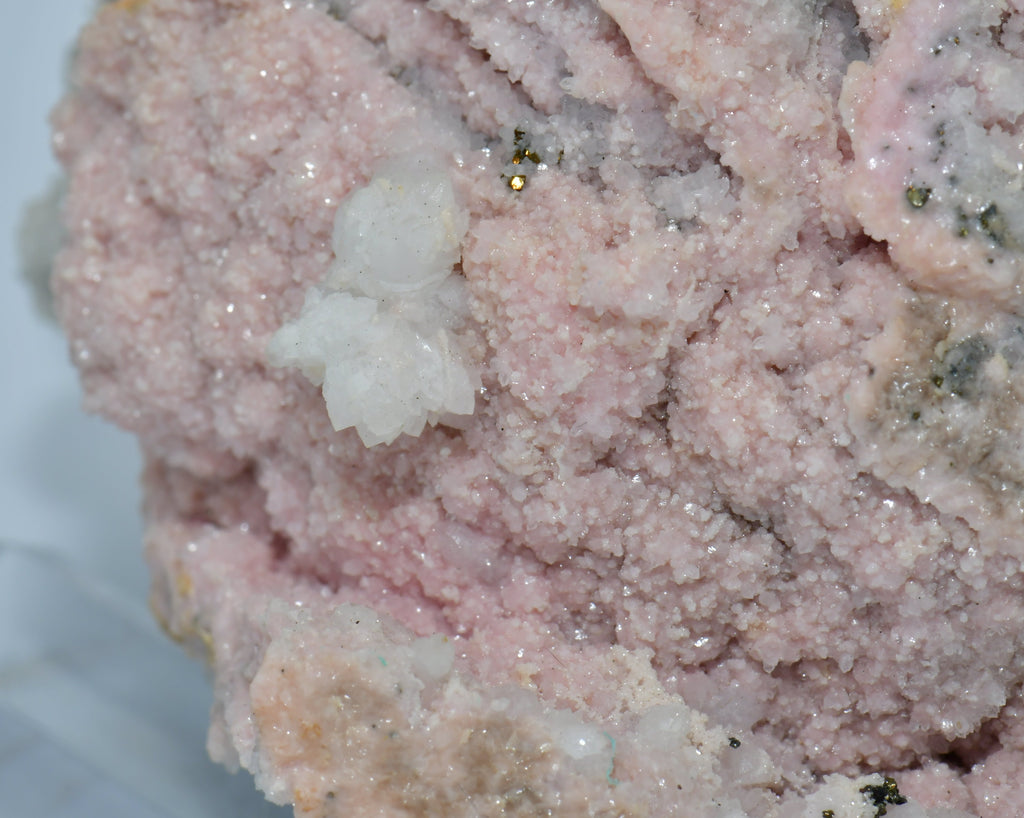 RHODOCHROSITE associated with PYRITE (small cabinet)