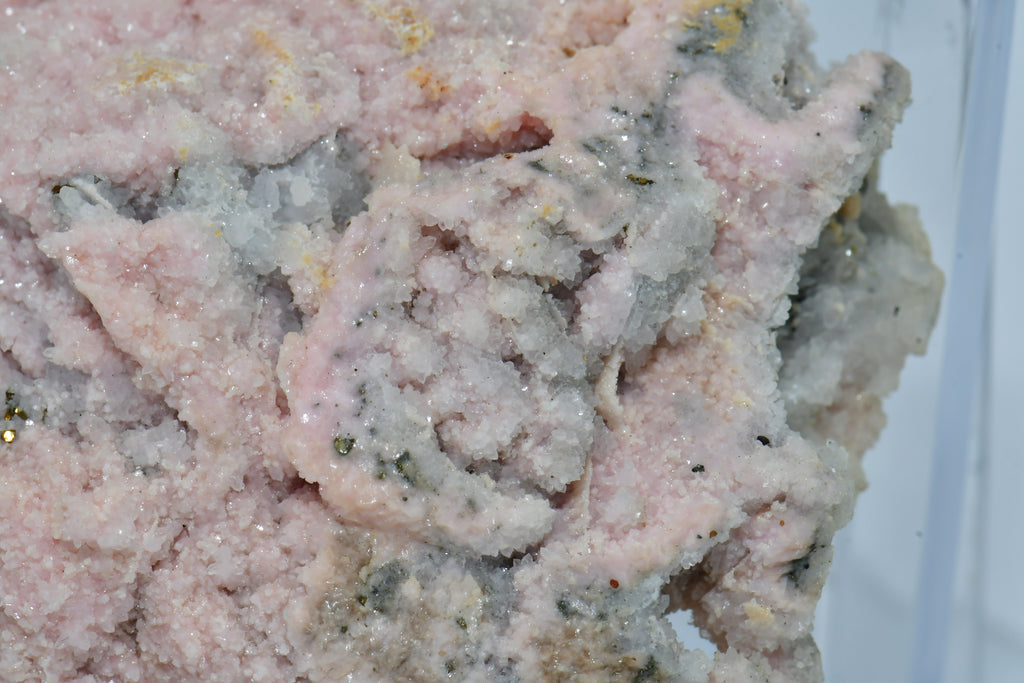 RHODOCHROSITE associated with PYRITE (small cabinet)