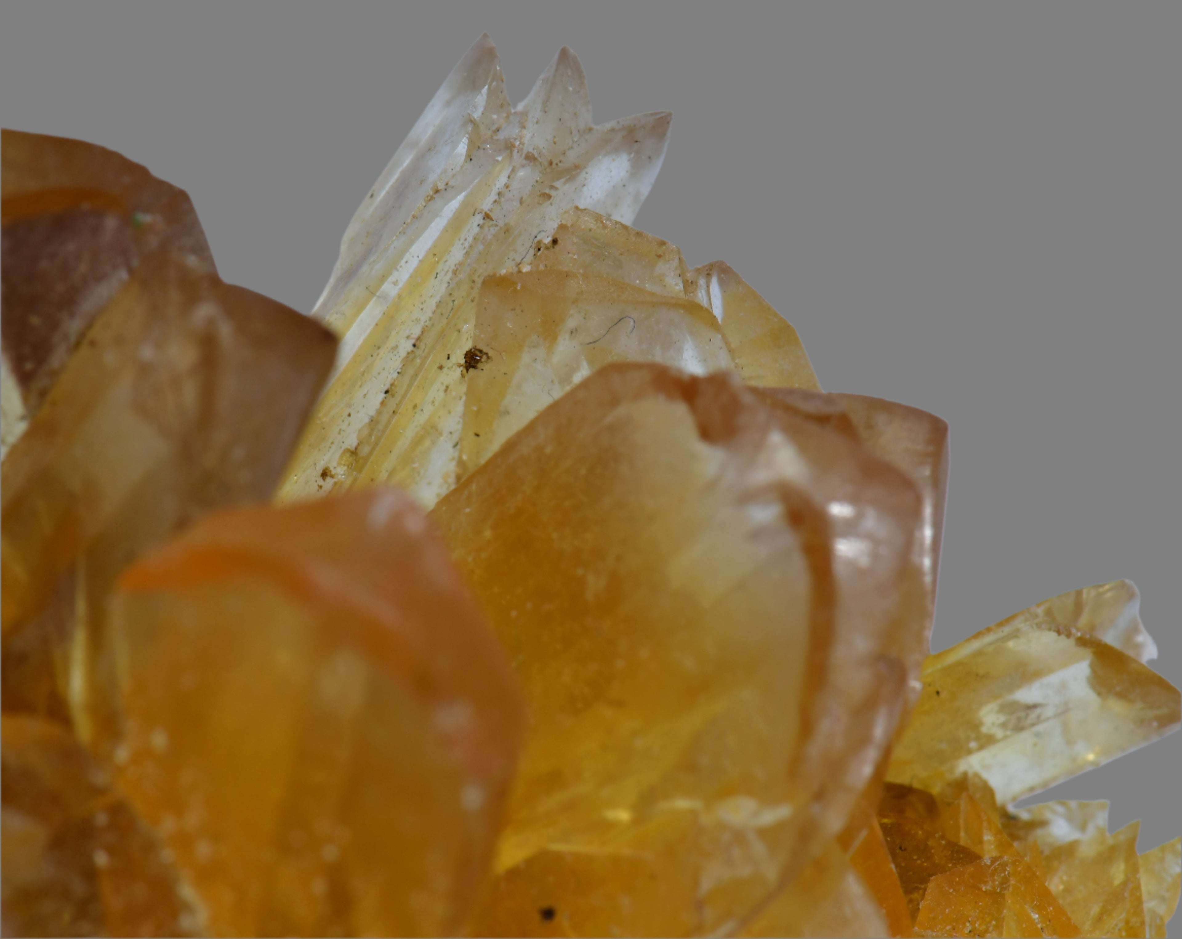 SELENITE (GYPSUM) (small cabinet)