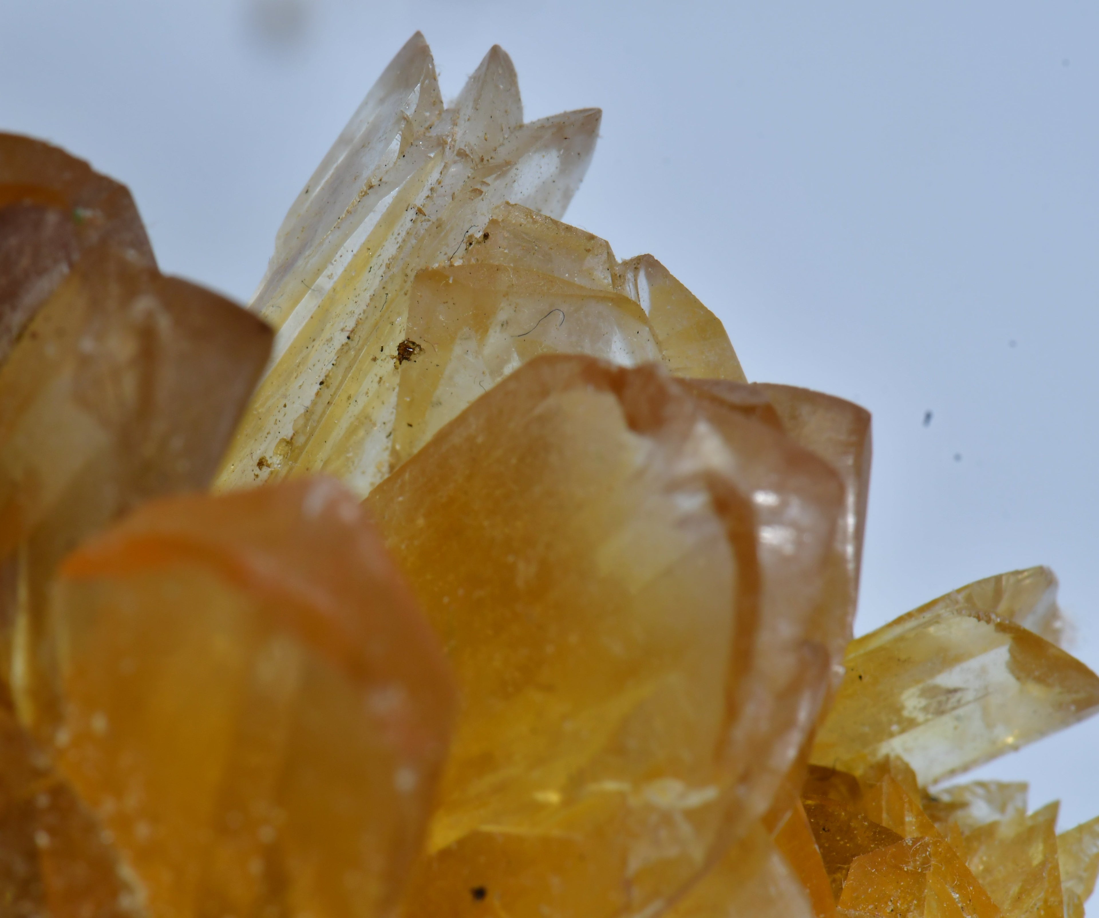 SELENITE (GYPSUM) (small cabinet)
