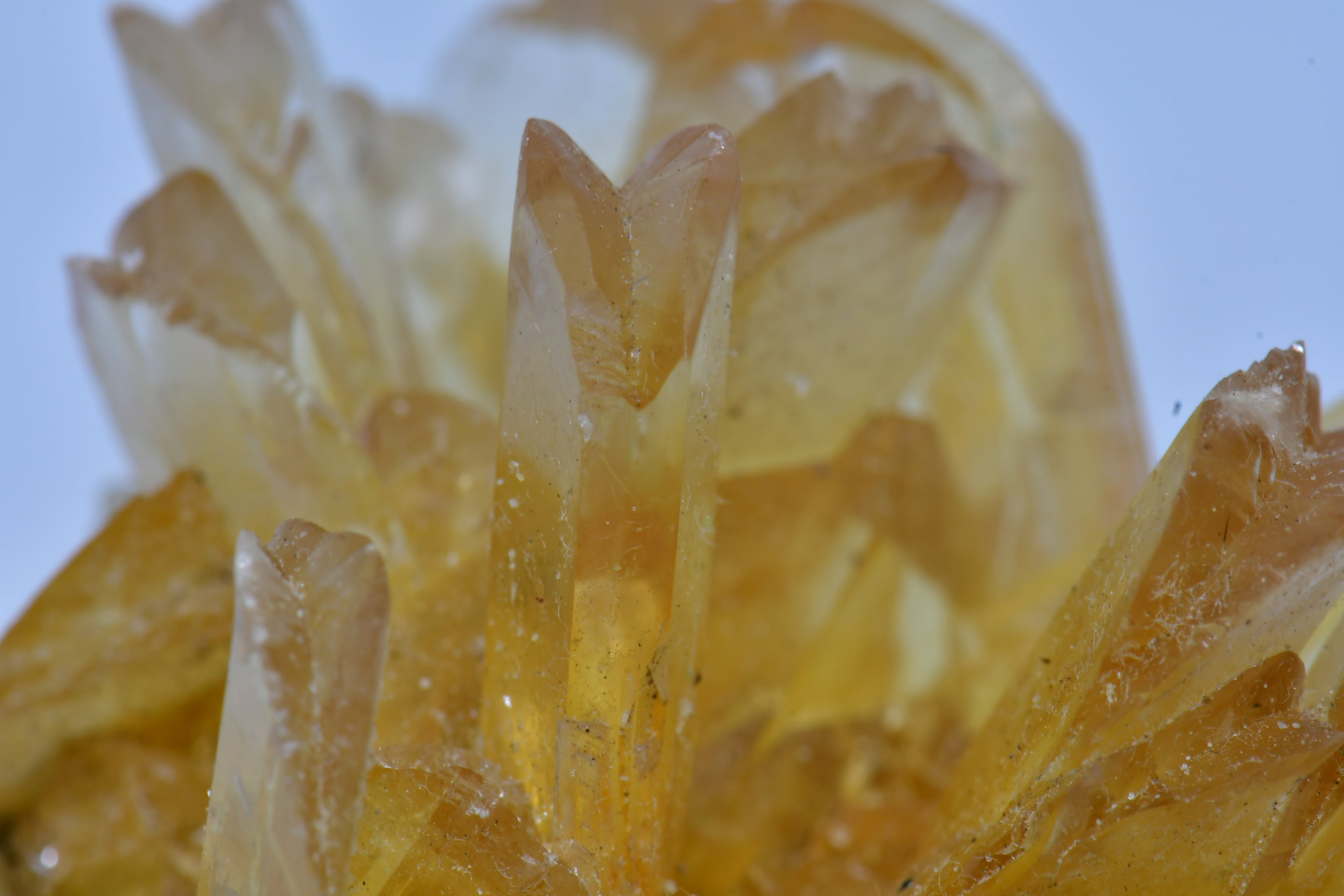 SELENITE (GYPSUM) (small cabinet)