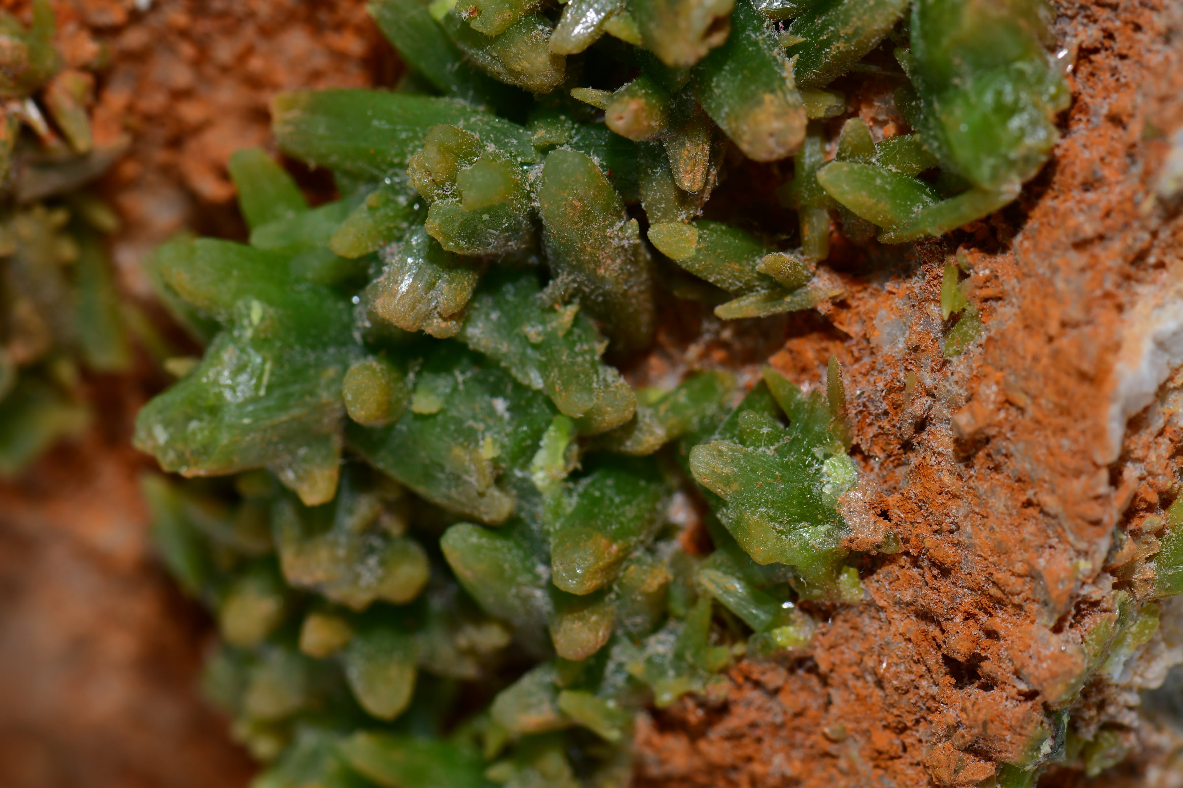 PYROMORPHITE (cabinet)