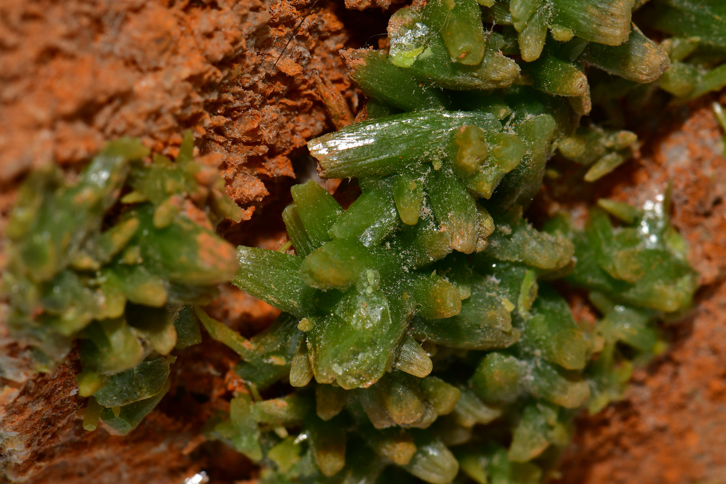 PYROMORPHITE