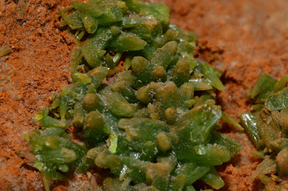 PYROMORPHITE