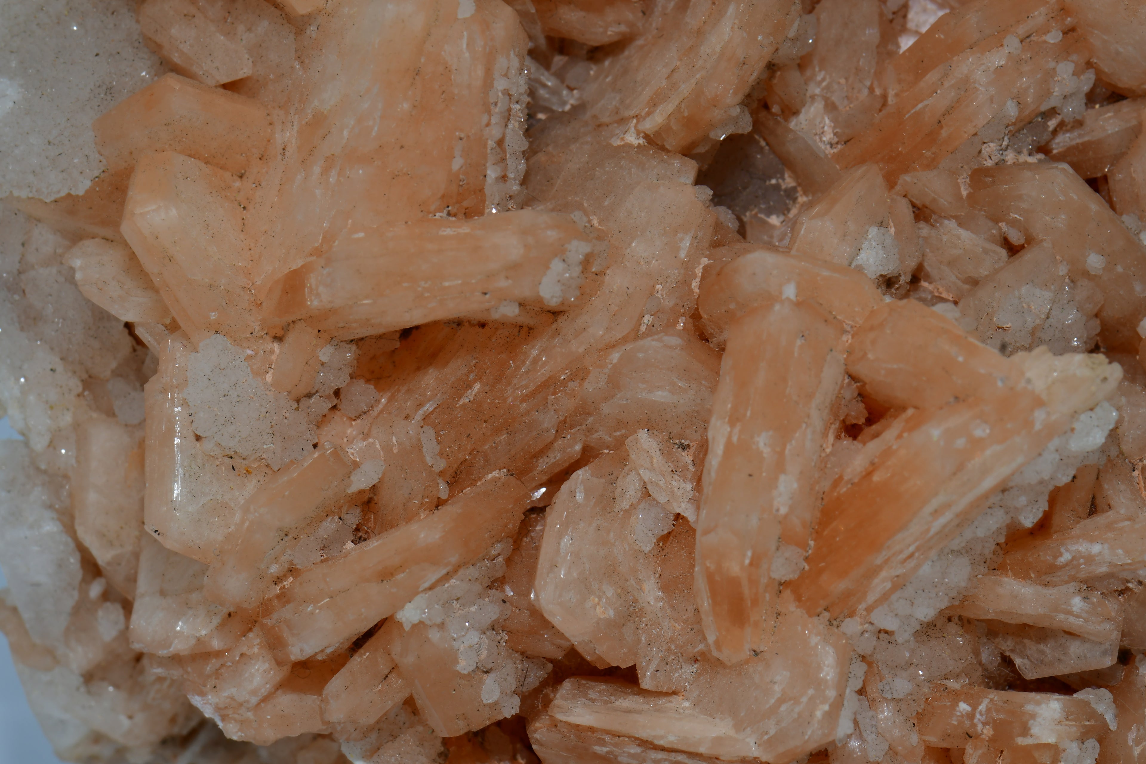 STILBITE (BEST PINK COLOR) covered with APOPHILLITE (large cabinet)