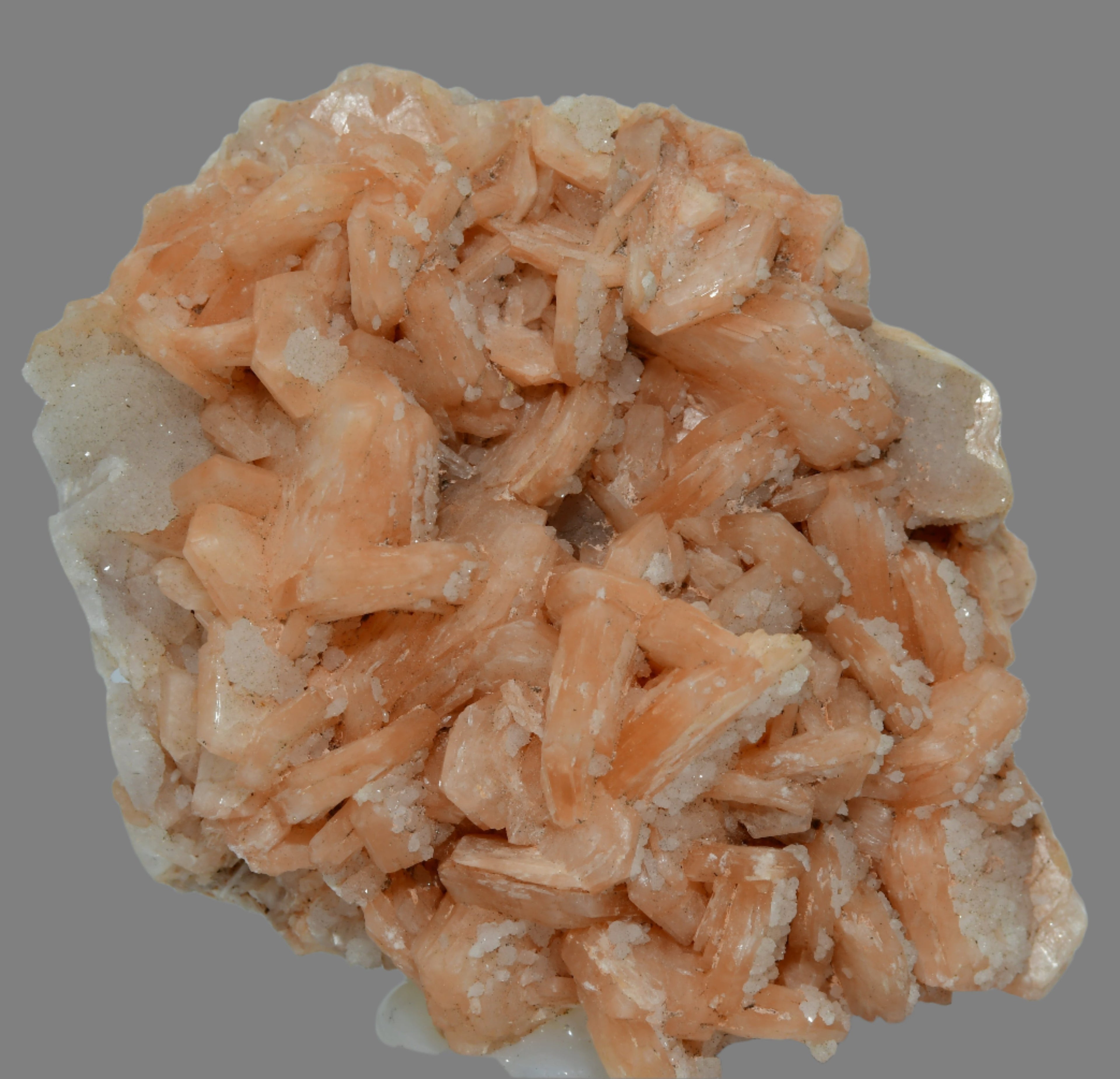 STILBITE (BEST PINK COLOR) covered with APOPHILLITE (large cabinet)