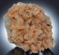 STILBITE (BEST PINK COLOR) covered with APOPHILLITE (large cabinet)