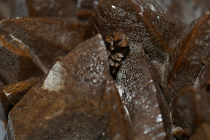 CALCITE - BROWN