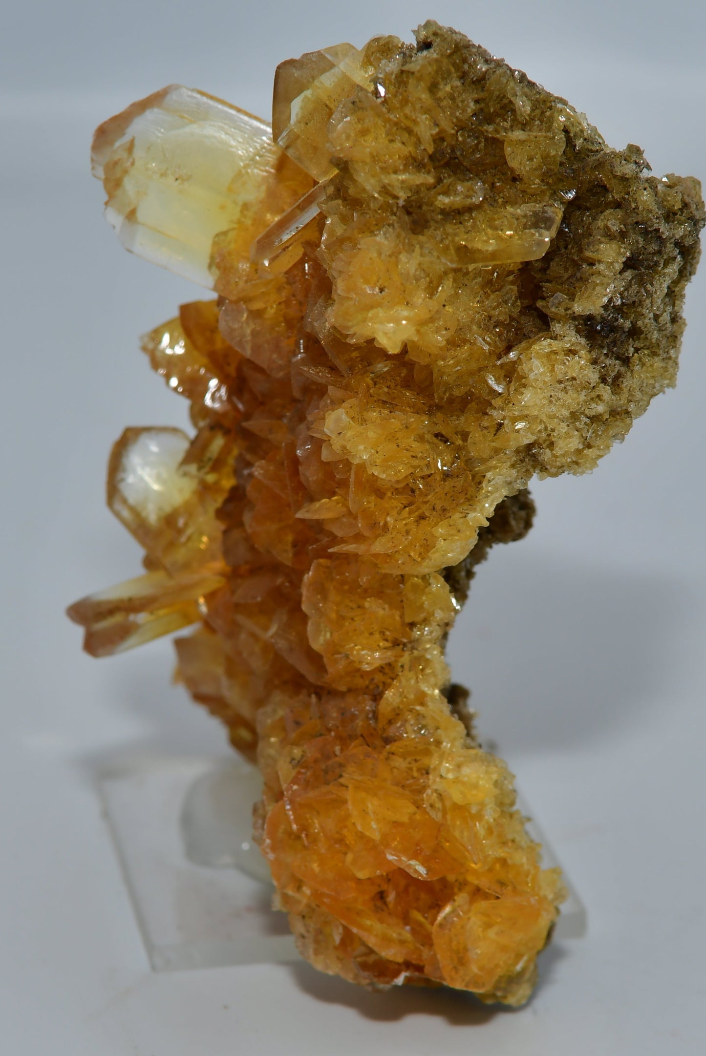 GYPSUM (var. GOLDEN SELENITE)